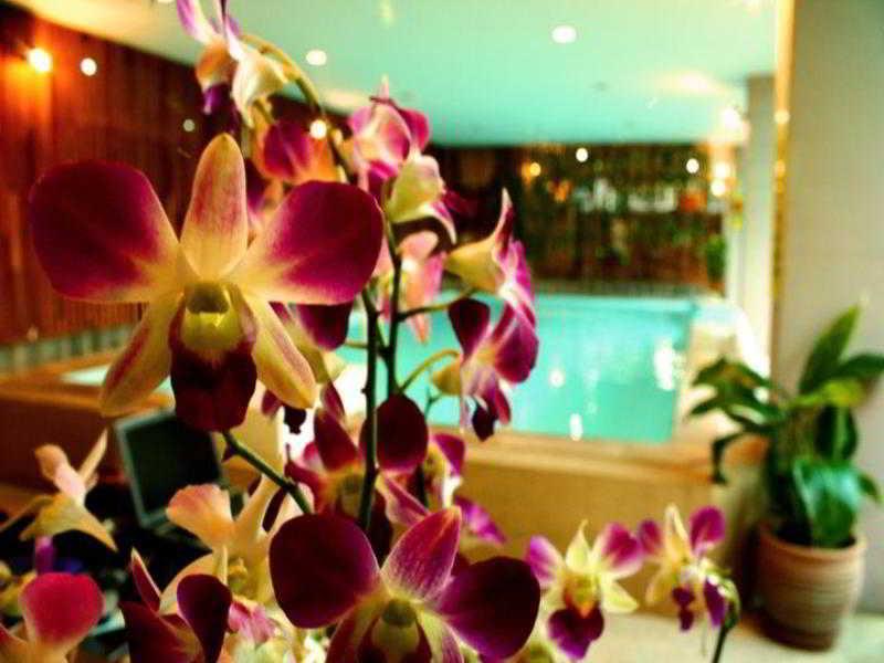 Thaphae Garden Guesthouse Чіангмай Екстер'єр фото